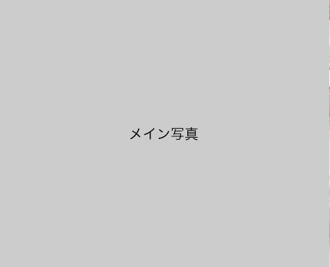 2017.03【車麩のフレンチトースト】